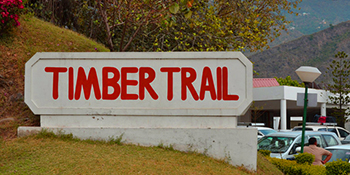 timber-trail